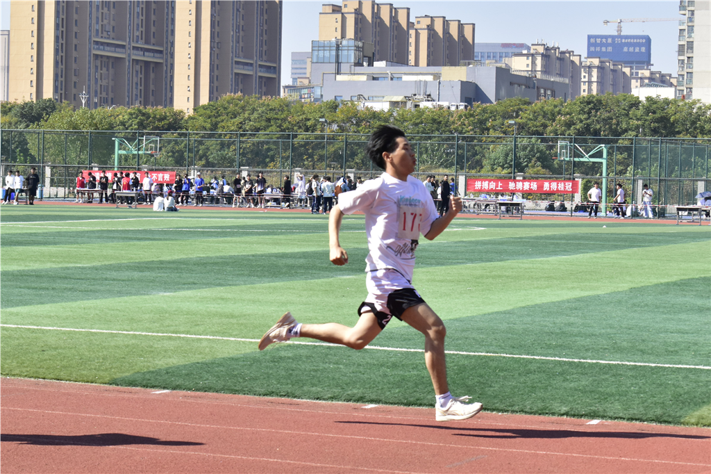 _DSC0408.png _DSC0408.png