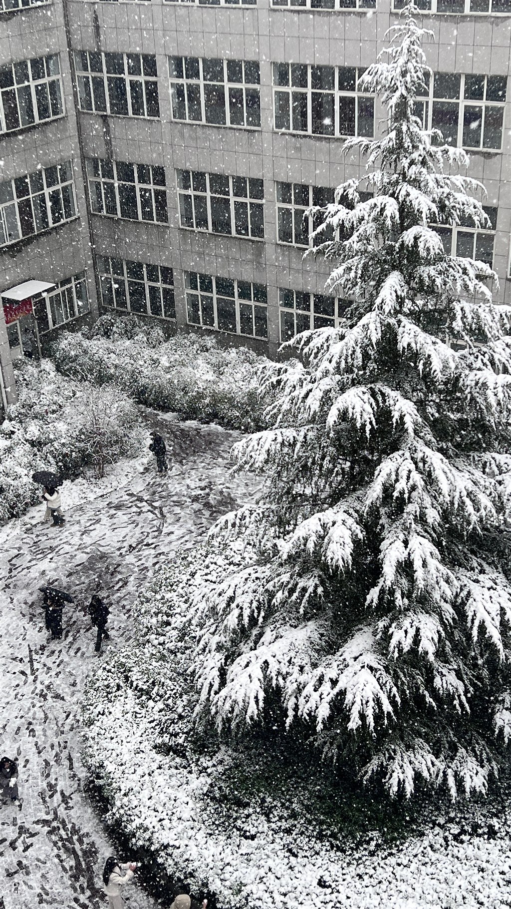 三等獎 22室內(nèi)1班丁思妍《認真的雪》.jpg 三等獎 22室內(nèi)1班丁思妍《認真的雪》.jpg